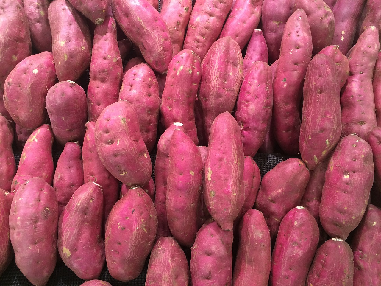 Sweet Potatoes prod.